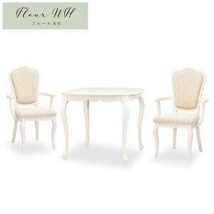 CƋt[ Fleur WH _CjO3_Zbg DT85 A[`FAD zCg Jݒu NVbN RR AƋ Ƌ PƋ Lr CƋ