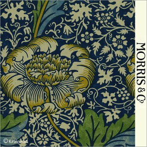 EBAX nvg z Plbg Knnet k-220322 AC-1 ǎ NbV NX t@ubN z NtgA[c CMX AeB[N NVbN X ǎ EBA X J