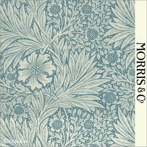 EBAX n vg z }[S[h Marigold AC-1 ǎ NbV NX t@ubN z NtgA[c CMX AeB[N NVbN X ǎ EBA X