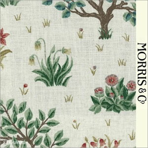 EBAX nvg z I[`[h Orchard o-220304 AC-1 ǎ NbV NX t@ubN z NtgA[c CMX AeB[N NVbN X ǎ EBA 