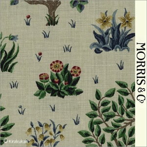 EBAX nvg z I[`[h Orchard o-220306 AC-1 ǎ NbV NX t@ubN z NtgA[c CMX AeB[N NVbN X ǎ EBA 