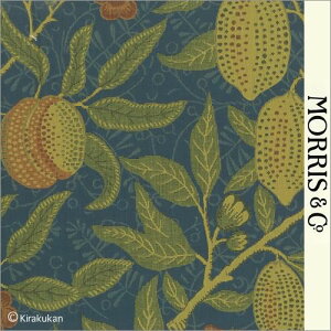 EBAX nD t[c Fruit f-230284 lC  ǎ NbV NX t@ubN z NtgA[c CMX AeB[N NVbN X ǎ EBA 