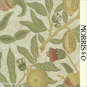 EBAX nD t[c Fruit AC-1 f-230285 lC  ǎ NbV NX t@ubN z NtgA[c CMX AeB[N NVbN X ǎ EBA 