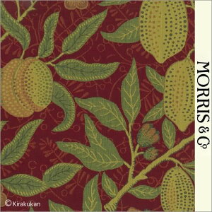 EBAX nD t[c Fruit f-230287 lC  ǎ NbV NX t@ubN z NtgA[c CMX AeB[N NVbN X ǎ EBA 