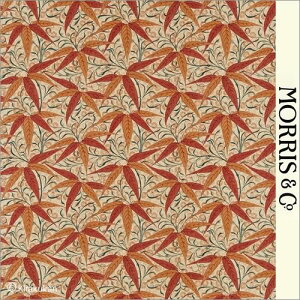 EBAX nvg z ou[ Bamboo darp222527 AC-2 ǎ NbV NX t@ubN z NtgA[c CMX AeB[N NVbN X ǎ EBA X 