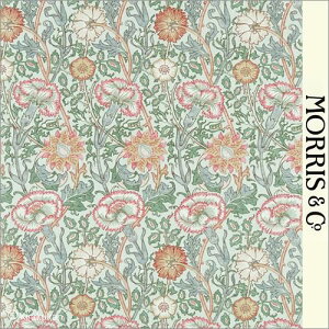 EBAX nvg z sN  [Y Pink and Rose AC-2 ǎ NbV NX t@ubN z NtgA[c CMX AeB[N NVbN X ǎ EBA 