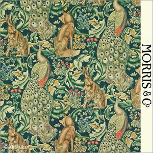 EBAX nvg z tHXg Forest darp222643 AC-2 ǎ NbV NX t@ubN z NtgA[c CMX AeB[N NVbN X ǎ EBA 