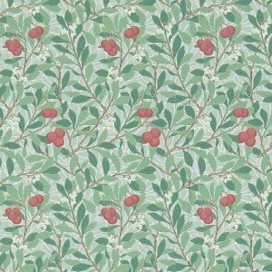 EBAX ǎ p u Arbutus 214719 Au^X v }̃fUC A A  ǎ EH[y[p[ NX Aǎ CMX AeB[N ǎ A {^jJ