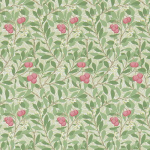 EBAX ǎ p u Arbutus 214720 Au^X v }̃fUC A A  ǎ EH[y[p[ NX Aǎ CMX AeB[N ǎ A {^jJ