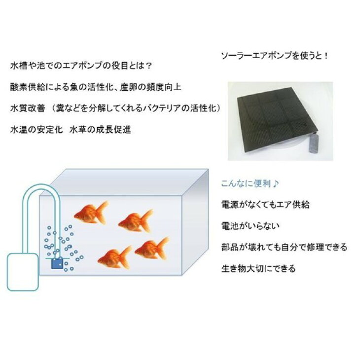 楽天市場 ハイブリッド ソーラー エアーポンプ 蓄電水槽 ハイブリッド 太陽電池 エアポンプ Wing Solar 気楽気楽きらきら