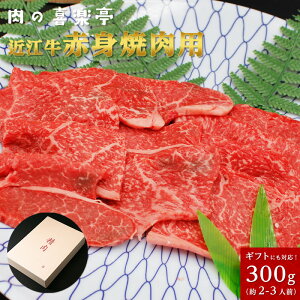 ߍ] Ԑgēp@300g i2llpj ̓ ̓  Mtg y@a