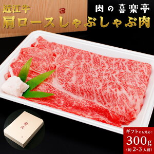 ߍ] [XԂԗp 300g (llp) ̓ ̓  Mtg y