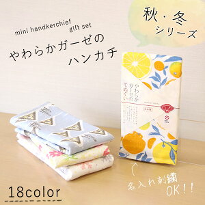 炩K[[̂Ăʂ@Ώۏi@H~ÓTV[Y@{@K[[pCn@100@/japanese style/v`Mtg/bsO/nJ`/y[