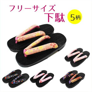 pˉʁ@t|TCY@5 fB[X 23.5-24.5cm lp@@ɂȂ@[֕s