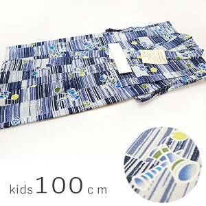 q䂩ij̎qpj@100cm@ʕ@u[O[@100EF@Dς ǂ LbY j   