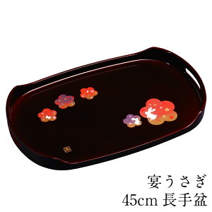 ~ g[ ~ h  45cm   傫 ڂ { 킢 Y ETM a 傫 v[g Mtg