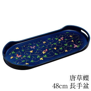 ySi|Cg5{I11/16 23:59܂Łz~ g[ ~  48cm   傫 ڂ { 傫 gC Mtg v[g 蕨 j