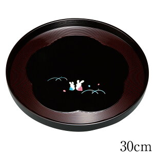 ~ g[ ۖ~  G  24`30cm   ڂ {