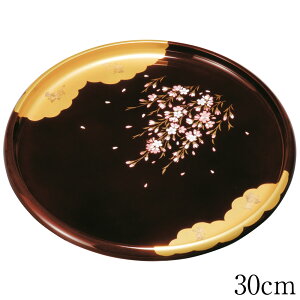 ~ g[ ۖ~ h _ 24`30cm   ڂ {
