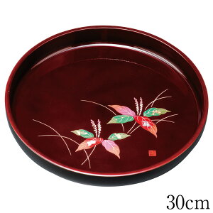 ~ g[ ۖ~  l 30cm   ڂ {