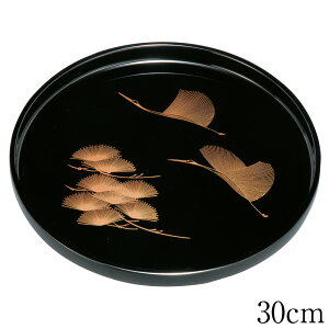 ~ g[ ۖ~  t 24`30cm   ڂ {