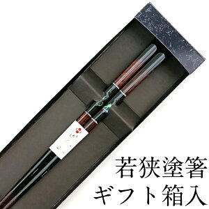 ySi|Cg5{I11/16 23:59܂Łz L Ђ 23cm ׂ~߉H Mtg ͂  킢