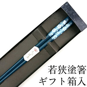 yX[p[SALEN[|zzz H@Ή Ƃڋ Ԑ 23cm ׂ~߉H Mtg ͂  킢