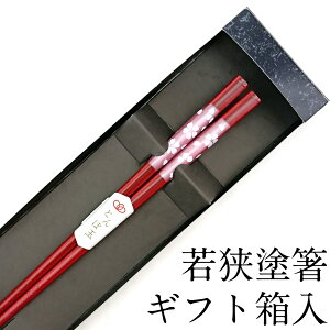 yX[p[SALEN[|zzz H@Ή Ƃڋ Ԑ 21cm ׂ~߉H Mtg ͂  킢