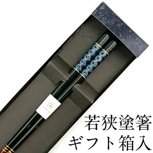  H@Ή L 23cm ׂ~߉H Mtg ͂  킢