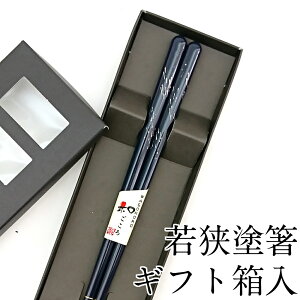  H@Ή ԉ 23cm ׂ~߉H Mtg ͂  킢