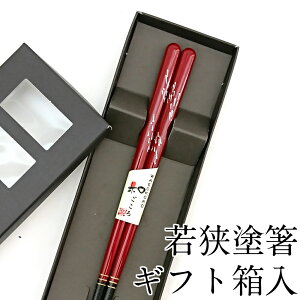  H@Ή ԉ 21cm ׂ~߉H Mtg ͂  킢