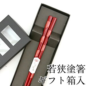  H@Ή Ƃڋ  21cm ׂ~߉H Mtg ͂  킢