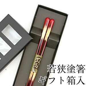 ySi|Cg5{I11/16 23:59܂Łz H@Ή G 21cm ׂ~߉H Mtg ͂  킢