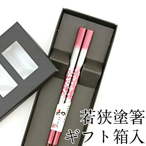  H@Ή  21cm ׂ~߉H Mtg ͂  킢