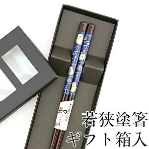  H@Ή тӂ낤 22.5cm ׂ~߉H Mtg ͂  킢