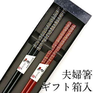 y3`10%OFFN[|zzzvw j Zbg H@Ή ̎ Mtg ߂Ɣ 킢