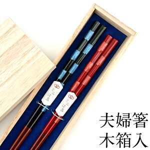 vw  j Zbg H@Ή Ƃڋ  ؔ ߂Ɣ