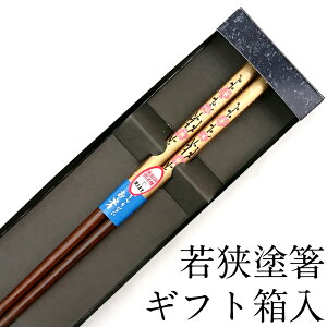  H@Ή } S[h 23cm Mtg ͂  킢