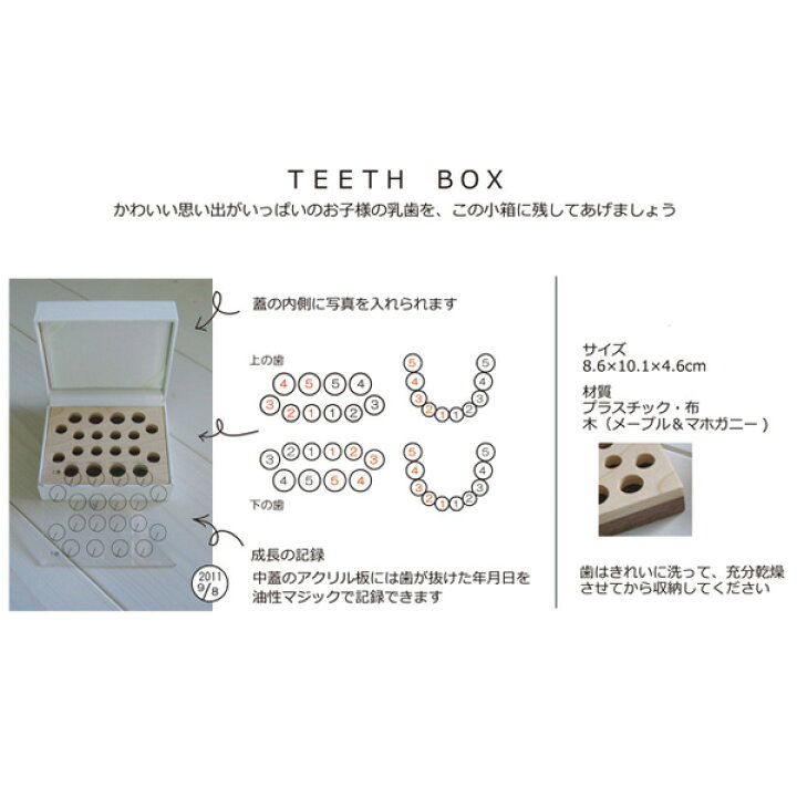 1155円 売却 乳歯 ケース TEETH BOX 白 フラワー 1155円 売却 乳歯 ケース TEETH BOX 白 フラワー