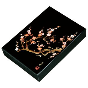 ؐ W   33cm A4Ή ޓ ސ ރP[X 莆 P[X    { 
