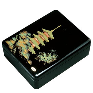 DX Vی^ ܏d̓ 33cm A4Ή ޓ ސ ރP[X 莆 P[X    {