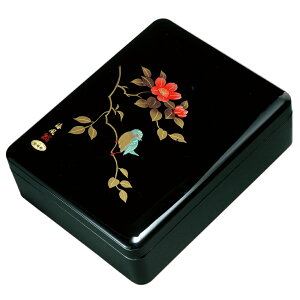 DX Vی^   33cm A4Ή ޓ ސ ރP[X 莆 P[X    {