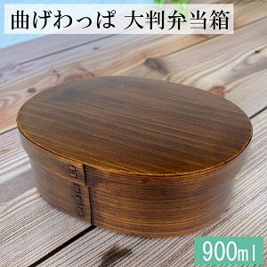 yX[p[SALEN[|zzzȂ ٓ 唻 h oht 900ml ܂ e 傫 jq  l 傫TCY 1i  킢 j