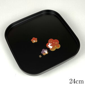 ~ g[ p~  Ȃ݂ 24cm   ڂ { 킢 e ETM 