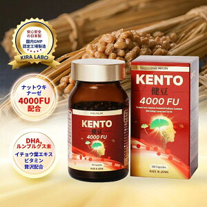 �y1��4�� �i�b�g�E�L�i�[�[4000FU �[��2�p�b�N�����zDHA �C�`���E�t�G�L�X �����u���N�X�� �[���� �f�L�X�g���� �G���X�`�� �r�^�~��E �r�^�~��B6 �r�^�~��C �t�_ �r�^�~��D �r�^�~��B12 �L������