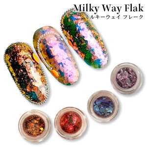 KiraNail Milky Way Flak 4COLOR ��Hanako�v���f���[�X�� �I�[���� �Ό� �l�C���t���[�N ���؂� �I�[�����l�C�� �j���A���X�l�C�� �l�C���A�[�g �l�C���p�[�c