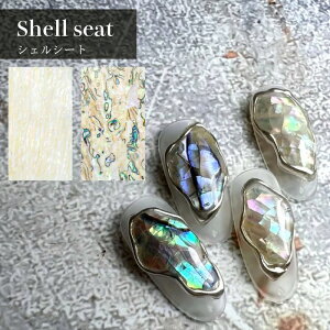 KiraNail Shell seat�i�V�F���V�[�g�j �� �l�C���p�[�c �W�F���l�C�� �|���b�V�� �l�C���A�[�g �l�C���p�i �Z���t�l�C�� �n���h���C�h ���W�� �V�F�� �傫�� �V�[�g �j���A���X�l�C�� �ăl�C�� �C