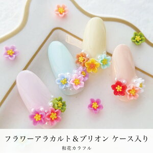 KiraNail t[AJguI P[X @aԃJt lCp[c WFlC lCA[g lCpi WFlCpi ZtlC lCXg ؍lC ~lC 