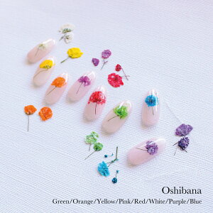 KiraNail  10  lCp[c WFlC |bV lCA[g lCpi WFlCpi ZtlC lCXg nhCh W  t[ hCt