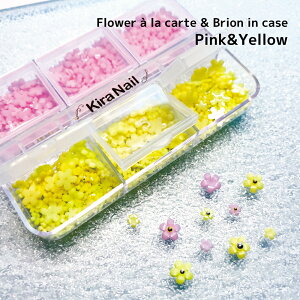 KiraNail KiraNail t[AJguI P[X sNCG[ lCp[c WFlC |bV lCA[g lCpi WFlCpi ZtlC lCXg 